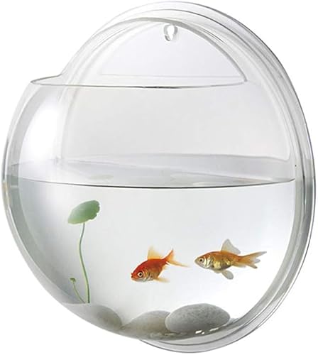 Fischschale zum Aufhängen, Aquarium, Hydrokultur-Pflanztopf, für Heimdekoration (15 cm) von TianqqYongyong