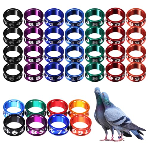 TianqqYongyong 50 Stk. Vogelfuss Ring Tauben Metall-Trainingsringe für Tauben, Papageien, Pfingstrose von TianqqYongyong