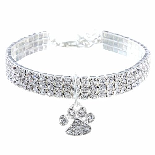 TiaoBug Haustierhalsband mit Diamanten Verstellbarer Hund Kragen Hochzeitskatze und Hund Kleiner Haustierhalskettenschmuck Weiß L TiaoBug Haustierhalsband mit Diamanten Verstellbarer Hund Kragen Hochzeitskatze und Hund Kleiner Haustierhalskettenschmuck Weiß L von TiaoBug
