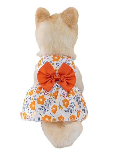 TiaoBug Hundekleid für Hunde Welpen Prinzessin Sommer Kleidung atmungsaktive Katzenkleid für Chihuahua Yorkie Orange XL TiaoBug Hundekleid für Hunde Welpen Prinzessin Sommer Kleidung atmungsaktive Katzenkleid für Chihuahua Yorkie Orange XL von TiaoBug