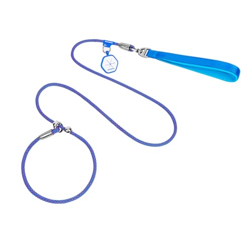 TiaoBug Hundeleine strapazierfähiges und wetterbeständiges Kletterseil Hunde Leine für Große Mittelgroße Hund Blau One Size TiaoBug Hundeleine strapazierfähiges und wetterbeständiges Kletterseil Hunde Leine für Große Mittelgroße Hund Blau One Size von TiaoBug