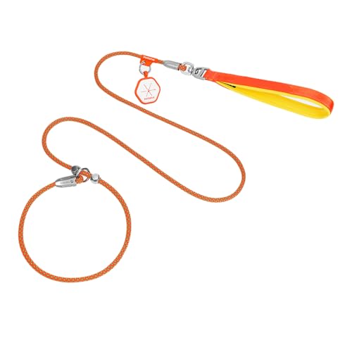 TiaoBug Hundeleine strapazierfähiges und wetterbeständiges Kletterseil Hunde Leine für Große Mittelgroße Hund Orange One Size TiaoBug Hundeleine strapazierfähiges und wetterbeständiges Kletterseil Hunde Leine für Große Mittelgroße Hund Orange One Size von TiaoBug