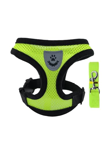 TiaoBug Reflektierende Haustiergurt und Leine Set Verstellbar für Katzen Kleine Hunde Escape-Proof Katzengeschirr Leuchtendes Grün XL TiaoBug Reflektierende Haustiergurt und Leine Set Verstellbar für Katzen Kleine Hunde Escape-Proof Katzengeschirr Leuchtendes Grün XL von TiaoBug