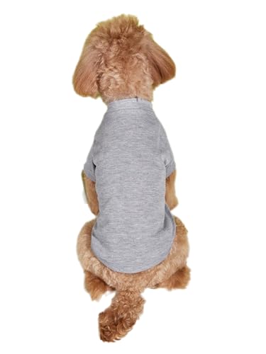 TiaoBug Sommer-Hunde-Shirts für Kleine Hunde Atmungsaktive T-Shirts Welpen Kleidung Haustier Katzen Kurze Ärmel Tank Top Grau S TiaoBug Sommer-Hunde-Shirts für Kleine Hunde Atmungsaktive T-Shirts Welpen Kleidung Haustier Katzen Kurze Ärmel Tank Top Grau S von TiaoBug