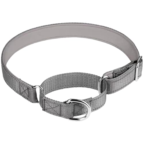 TiaoBug Verstellbares Martingal Halsband Atmungsaktives Nylon Trainingshalsband für Große Kleine Hunde Grau L TiaoBug Verstellbares Martingal Halsband Atmungsaktives Nylon Trainingshalsband für Große Kleine Hunde Grau L von TiaoBug