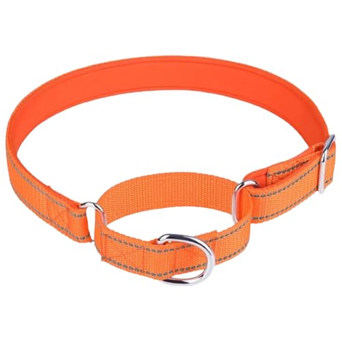 TiaoBug Verstellbares Martingal Halsband Atmungsaktives Nylon Trainingshalsband für Große Kleine Hunde Orange M TiaoBug Verstellbares Martingal Halsband Atmungsaktives Nylon Trainingshalsband für Große Kleine Hunde Orange M von TiaoBug
