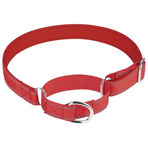 TiaoBug Verstellbares Martingal Halsband Atmungsaktives Nylon Trainingshalsband für Große Kleine Hunde Rot L TiaoBug Verstellbares Martingal Halsband Atmungsaktives Nylon Trainingshalsband für Große Kleine Hunde Rot L von TiaoBug