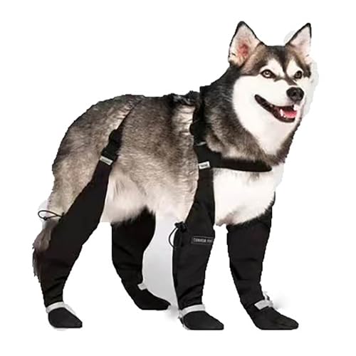 TiaoBug wasserdichte rutschfeste Hundeschuhe mit Hosenträger Verstellbarer Pfotenschutz für Regen Schnee Typ B XL TiaoBug wasserdichte rutschfeste Hundeschuhe mit Hosenträger Verstellbarer Pfotenschutz für Regen Schnee Typ B XL von TiaoBug