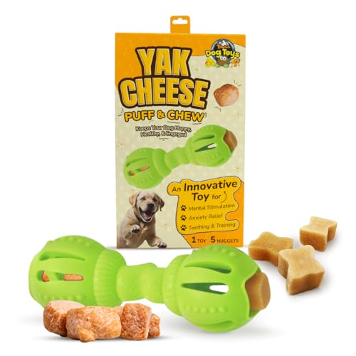 Tibetan Dog Chew Yak Cheese Puff & Chew - Lustiger interaktiver Leckerli-Spender Spielzeug für Hunde - Training, Zahnen, Beruhigung, geistige Stimulation - Knochen Hantel - Fluoreszierendes Grün (1 von Tibetan Dog Chew