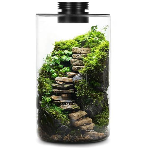 Tisch-Terrarium aus Glas mit Wachstumslicht für Sukkulentenmoos, Glaspflanzen-Terrarium, Miniatur-Landschaft, Aquarium, Innenpflanzenwachstum, Büro, Heimdekoration, Pflanzenliebhaber, Geschenke Tisch-Terrarium aus Glas mit Wachstumslicht für Sukkulentenmoos, Glaspflanzen-Terrarium, Miniatur-Landschaft, Aquarium, Innenpflanzenwachstum, Büro, Heimdekoration, Pflanzenliebhaber, Geschenke von Tideme