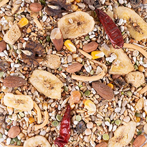 Parrot Essentials, Tidymix Premiumqualität Papageien-Diät-Samenmischung (2,30 kg), Papageienfutter von Tidymix