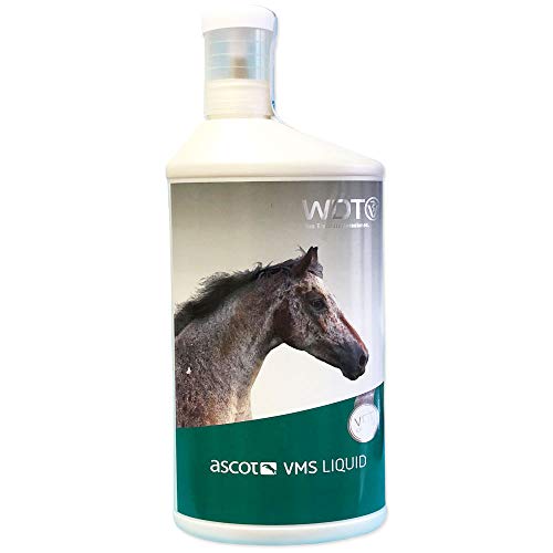 Tierarzt24 VMS Liquid dient der kurzfristigen Vitamin- und Mineralstoffversorgung von Pferden - 1 l von Tierarzt24