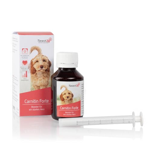 Tierarzt24 CARNITIN FORTE unterstützt als Energiebooster das Hundeherz - Mit L-Carnitin und Vitamin B12. Erhöht die Immunabwehr - 100 ml (100 g) von Tierarzt24