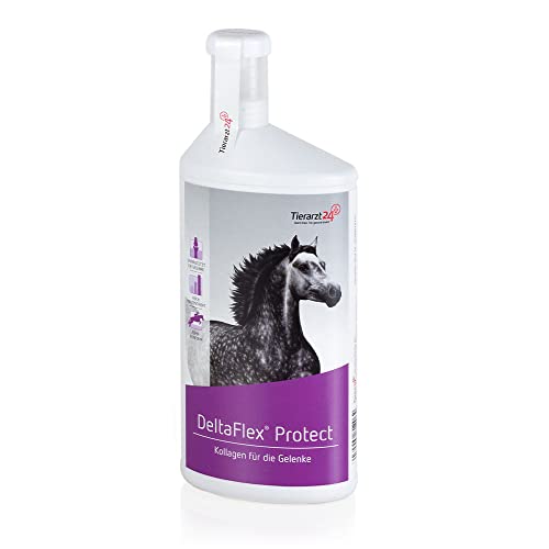 Tierarzt24 DELTAFLEX Protect mit Kollagen für Starke Sehnen und Gelenke bei Pferden - 1 l Tierarzt24 DELTAFLEX Protect mit Kollagen für Starke Sehnen und Gelenke bei Pferden - 1 l von Tierarzt24