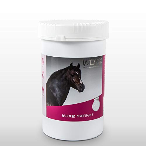 Tierarzt24 MYOPEARLS unterstützt die Muskulatur und das Immunsystem von Pferden - 1,5 kg Tierarzt24 MYOPEARLS unterstützt die Muskulatur und das Immunsystem von Pferden - 1,5 kg von Tierarzt24