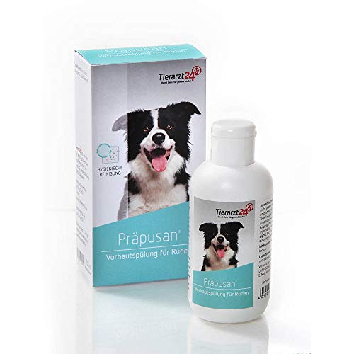 Tierarzt24 PRÄPUSAN ist eine Vorhautpflege für Rüden - Mit keimreduzierenden Komponenten für EIN geringeres Entzündungsrisiko - 100 ml von Tierarzt24