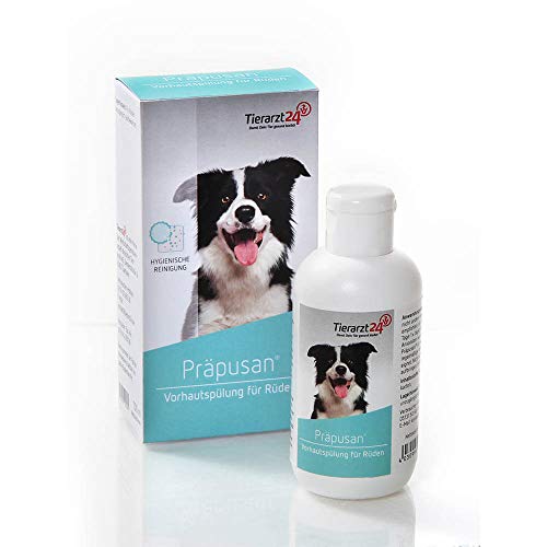 Tierarzt24 PRÄPUSAN ist eine Vorhautpflege für Rüden - Mit keimreduzierenden Komponenten für EIN geringeres Entzündungsrisiko - 100 ml von Tierarzt24