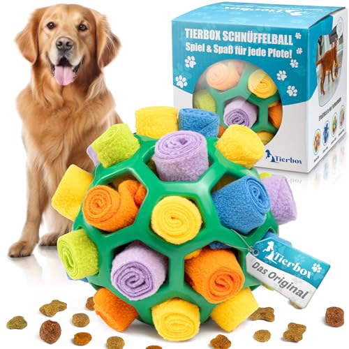 Tierbox Schnüffelball für Hunde Intelligenzspielzeug [für alle Hunde] Schnüffelspielzeug | Kaktus Grün von Tierbox