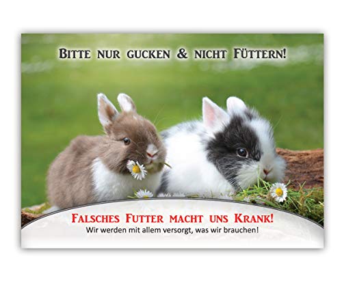 Schild Bitte Nicht füttern Kaninchen - Hinweisschild für Zaun o. Gehege (Aluverbund) von Tierisch werben