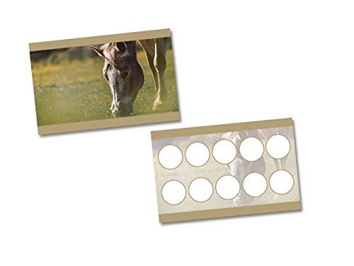Tierisch werben Bonuskarte 10er-Karte Reitstall Reitstunden Pferdemotiv (100 Stück) von Tierisch werben