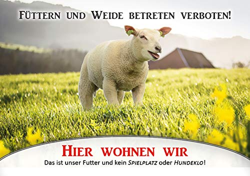 Weidezaunschild Füttern und Weide betreten verboten Schaf DIN A4 Warnschild (Aluverbund) von Tierisch werben