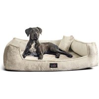 Tierlando ® Orthopädisches Hundebett FRANKLIN Kuscheliger Teddy-Stoff - Hundesofa creme 1,1 m, 22 cm, 90 cm von Tierlando