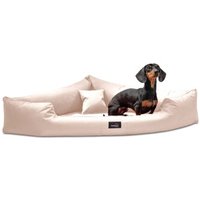 Tierlando ® TRIVIA | Orthopädisches Eckhundebett Polyester Hundebett Dreieckbett creme 1,2 m, 25 cm, 1,2 m von Tierlando
