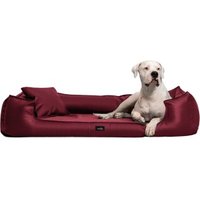 Tierlando GOOFY Kunstleder - Orthopädisches Hundebett >>inkl. Matratzenschoner Tierlando GOOFY Kunstleder - Orthopädisches Hundebett >>inkl. Matratzenschoner von Tierlando