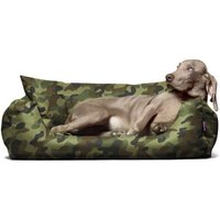 Tierlando NEMO Hundebett Hundesofa S M L Hundekorb Katzenbett 65 80 100cm muschel 65 cm, 20 cm, 50 cm von Tierlando