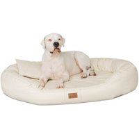 Tierlando Orthopädisches Hundebett LENNART VISCO PLUS Kunstleder creme 1,4 m, 30 cm, 1,05 m von Tierlando