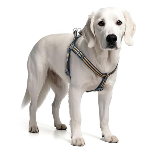 Tiffpaws Stripe Step in Hundegeschirr für kleine Hunde, Freedom Nylon Hundehalfterwesten, leicht und ausbruchsicher, Welpengeschirr, passt schnell für kleine, mittelgroße und große Hunde, Blau, L Tiffpaws Stripe Step in Hundegeschirr für kleine Hunde, Freedom Nylon Hundehalfterwesten, leicht und ausbruchsicher, Welpengeschirr, passt schnell für kleine, mittelgroße und große Hunde, Blau, L von Tiffpaws