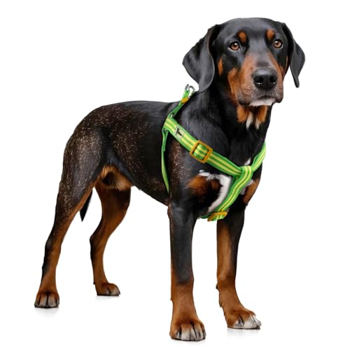 Tiffpaws Stripe Step in Hundegeschirr für kleine Hunde, Freedom Nylon Hundehalfterwesten, leicht und ausbruchsicher, Welpengeschirr, passt schnell für kleine, mittelgroße und große Hunde, Grün, XS Tiffpaws Stripe Step in Hundegeschirr für kleine Hunde, Freedom Nylon Hundehalfterwesten, leicht und ausbruchsicher, Welpengeschirr, passt schnell für kleine, mittelgroße und große Hunde, Grün, XS von Tiffpaws