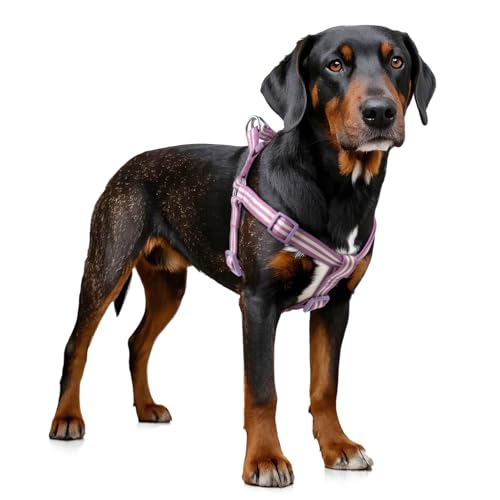Tiffpaws Stripe Step in Hundegeschirr für kleine Hunde, Freedom Nylon Hundehalfterwesten, leicht und ausbruchsicher, Welpengeschirr, passt schnell für kleine, mittelgroße und große Hunde, Lila, XS Tiffpaws Stripe Step in Hundegeschirr für kleine Hunde, Freedom Nylon Hundehalfterwesten, leicht und ausbruchsicher, Welpengeschirr, passt schnell für kleine, mittelgroße und große Hunde, Lila, XS von Tiffpaws