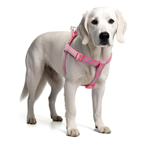 Tiffpaws Stripe Step in Hundegeschirr für kleine Hunde, Freedom Nylon Hundehalfterwesten, leicht und ausbruchsicher, Welpengeschirr, passt schnell für kleine, mittelgroße und große Hunde, Rosa, M Tiffpaws Stripe Step in Hundegeschirr für kleine Hunde, Freedom Nylon Hundehalfterwesten, leicht und ausbruchsicher, Welpengeschirr, passt schnell für kleine, mittelgroße und große Hunde, Rosa, M von Tiffpaws