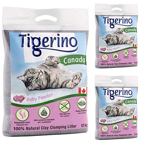 Tigerino Canada Katzenstreu, klumpend, Babypuderduft, 3 x 12 kg, parfümiert, antibakteriell, Einweg-und hypoallergene Hygienestreu mit Geruchskontrolle. von Tigerino