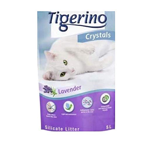 Tigerino Crystals Lavender Katzenstreu Super Pack: 6 x 5 Liter Silikatstreu mit frischem Lavendelduft Umweltfreundlich Super Saugfähige Streu + Connect 2in1 Katzentunnel von Tigerino