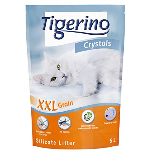 Tigerino Crystals Silikat XXL Katzenstreu - 6 x 5 Liter von Tigerino