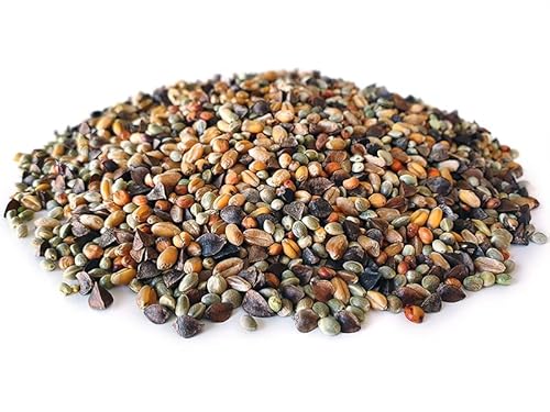 Tigernuessekaufen.de Golden Partikel Mix 20KG | Karpfen Futter Tigernuessekaufen.de Golden Partikel Mix 20KG | Karpfen Futter von Tijgernotenkopen.nl