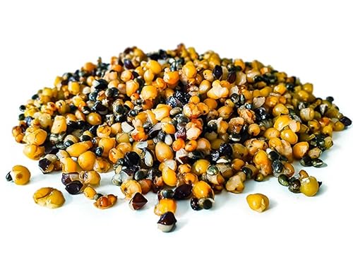 Tigernuessekaufen.de Golden Partikel Mix Angelfertig 20KG | Karpfen Futter Tigernuessekaufen.de Golden Partikel Mix Angelfertig 20KG | Karpfen Futter von Tijgernotenkopen.nl