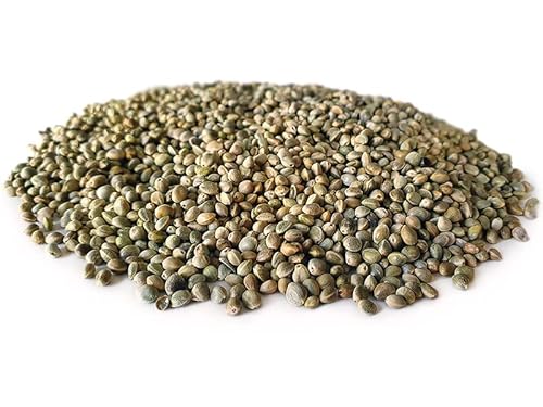 Tigernuessekaufen.de Hanfsamen 20KG | Karpfen Futter Tigernuessekaufen.de Hanfsamen 20KG | Karpfen Futter von Tijgernotenkopen.nl