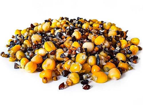 Tigernuessekaufen.de Ultimate Partikel Mix Angelfertig 5KG | Karpfen Futter Tigernuessekaufen.de Ultimate Partikel Mix Angelfertig 5KG | Karpfen Futter von Tijgernotenkopen.nl