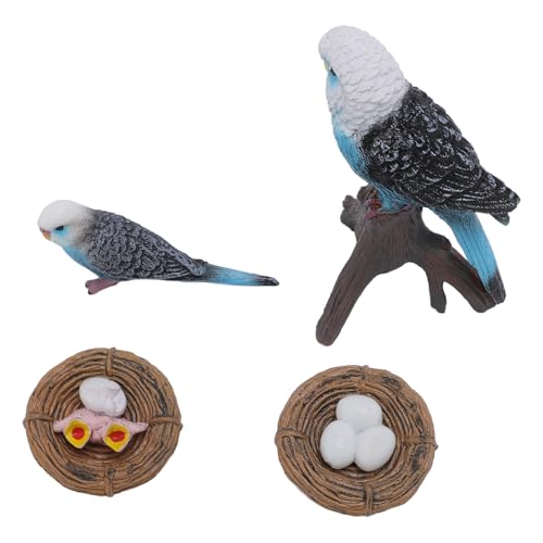 Tihebeyan BudeGer -Spielzeug -PVC Budgie Figur Wachstumszyklus Bildungsmodell mit Lebendigem Lebensechtem Design für Tierlernen und Ausstellung Tihebeyan BudeGer -Spielzeug -PVC Budgie Figur Wachstumszyklus Bildungsmodell mit Lebendigem Lebensechtem Design für Tierlernen und Ausstellung von Tihebeyan