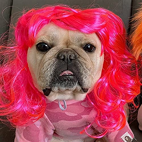 Tiiiopkvvv Hundeperücke, bunte Hundeperücke, niedliche Haustierperücke, Perücke Tiiiopkvvv Hundeperücke, bunte Hundeperücke, niedliche Haustierperücke, Perücke von Tiiiopkvvv