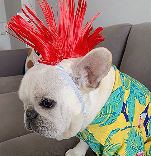 Tiiiopkvvv Hundeperücke, bunte Hundeperücke, niedliche Haustierperücke, Perücke Tiiiopkvvv Hundeperücke, bunte Hundeperücke, niedliche Haustierperücke, Perücke von Tiiiopkvvv