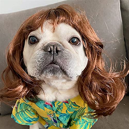 Tiiiopkvvv Hundeperücke, bunte Hundeperücke, niedliche Haustierperücke, Perücke Tiiiopkvvv Hundeperücke, bunte Hundeperücke, niedliche Haustierperücke, Perücke von Tiiiopkvvv