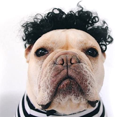 Tiiiopkvvv Hundeperücke, lustig, bunt, weich, Kunsthaar, Hundehut, Cosplay-Kostüm, Verkleidung für Haustiere, Hunde und Katzen, Schwarz Tiiiopkvvv Hundeperücke, lustig, bunt, weich, Kunsthaar, Hundehut, Cosplay-Kostüm, Verkleidung für Haustiere, Hunde und Katzen, Schwarz von Tiiiopkvvv