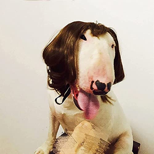 Tiiiopkvvv Lustige Hundeperücke, bunt, weich, Kunsthaar, Hundehut, Cosplay-Kostüm, Kleid für Haustiere, Hunde und Katzen Tiiiopkvvv Lustige Hundeperücke, bunt, weich, Kunsthaar, Hundehut, Cosplay-Kostüm, Kleid für Haustiere, Hunde und Katzen von Tiiiopkvvv