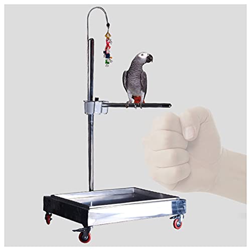 Tiiiopkvvv Luxuriöser Papageienständer aus Edelstahl mit sieben Formen, anhebbar, großer und mittelgroßer Papageienständer mit Bremse, Papageien-Vogelregal, Vogelbedarf, Vogelkäfig, Vogelsitzstangen Tiiiopkvvv Luxuriöser Papageienständer aus Edelstahl mit sieben Formen, anhebbar, großer und mittelgroßer Papageienständer mit Bremse, Papageien-Vogelregal, Vogelbedarf, Vogelkäfig, Vogelsitzstangen von Tiiiopkvvv