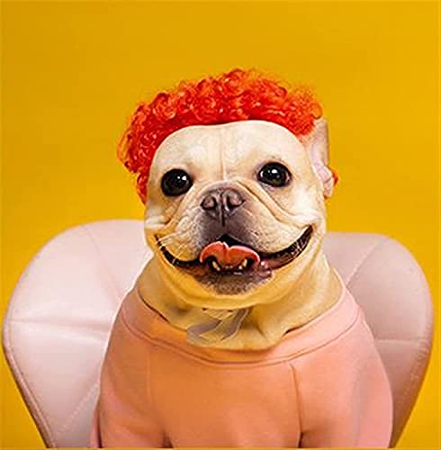 Tiiiopkvvv Perücken für Haustiere, Rollenspiel-Requisiten, für Hunde und Katzen, Cross-Dressing-Haar-Set, Fotografie, lustige Requisiten, Kopfbedeckung (2er-Set) von Tiiiopkvvv