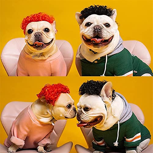 Tiiiopkvvv Perücken für Haustiere, Rollenspiel-Requisiten, für Hunde und Katzen, Cross-Dressing-Haar-Set, Fotografie, lustige Requisiten, Kopfbedeckung (grün) von Tiiiopkvvv